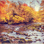 River Wharfe, Yorkshire, UK