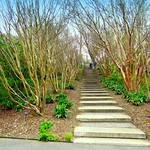 Path to Heaven (to Overlook)