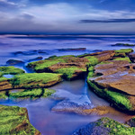 Washington Oaks State Gardens, 6400 North Oceanshore Blvd, Palm Coast, Florida, U.S.A.