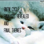 FINALISTS REAVELD+FINAL THEMES