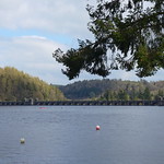 Vyrnwy Lake