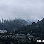 116 Das Haus am Waldrand 116 Das Haus am Waldrand