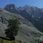 Einsamkeit - Loneliness