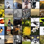 Project 365. On the road again. April