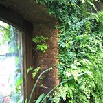 Belfast Botanic Gardens