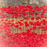 Lest we Forget- A Time to Remember