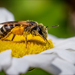 Working Nine Til' Five