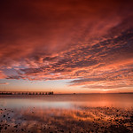 Wellington Point Sunrise 2