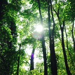 Morning sun✳️❇️