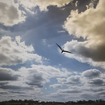 A moi les grands espaces...