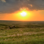 Bison Pasture Sunset
