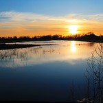 Wetland Sunset