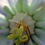 image0029_bearbeitet-5