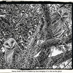 B&W for a change ...