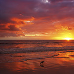 you are loved beyond words