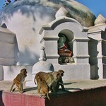 NEPAL, near Stupa von Swayambhunath, 15106/7785