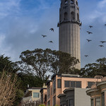 Coit Tower, San Francisco