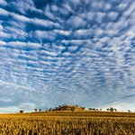 Mackerel Sky Morning - Darling Downs - Australia