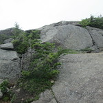 Bald Mountain - The Trail