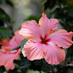 warm dreams - Wannabe Warmer Wedesday