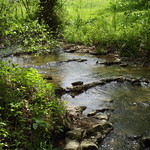 bear creek & allensville 162