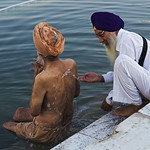 Sikh men taking holly bath in Golden Temple, Amritsar, North India