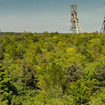 Clipstone Head Stocks
