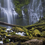 Liberty is worth paying for...