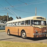 Dunedin No. 1 in Foxton, 1998