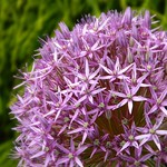 Great opportunities to help others seldom come, but small ones surround us every day.