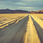 Like a band of gypsies we go down the desert