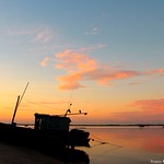 THE GIFT OF DAWN - (A D&aacute;diva do Amanhecer)