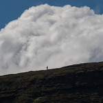 The Loneliness of the ..... high level walker