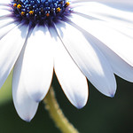 this I love ... Macro Mondays