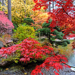 Oh, What A Day It Was