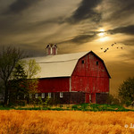 Red Barn at Sunset # 134
