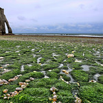 Etretat.- [Explore 89]
