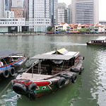 Singapore - Water Life - 031