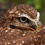 They always look so serious