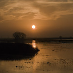 Scattering - Colors of The Sunset