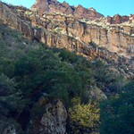 2015-11-21 12.24.26.jpg