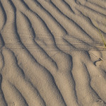 Brush Strokes_MG_8175