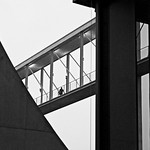 Hey, Babe, take a Walk on the wild Side! (in memoriam Lou Reed)