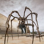 Mam&aacute; Ara&ntilde;a. Museo Guggenheim. Bilbao