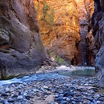 hiking the narrows, zion national park