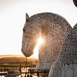 Kelpie