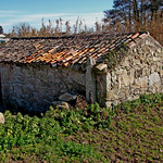 Mu&iacute;&ntilde;o da Balsi&ntilde;a