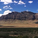 There's Gold in Them Thar Hills