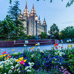 Salt Lake City Temple, Blue hour