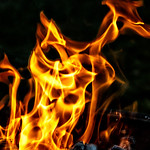 Fire is the Devils Only Friend